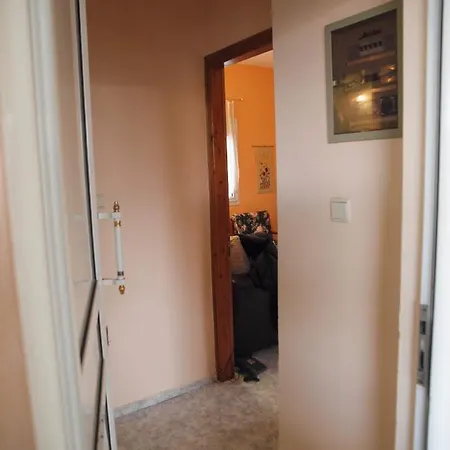 Adam's House